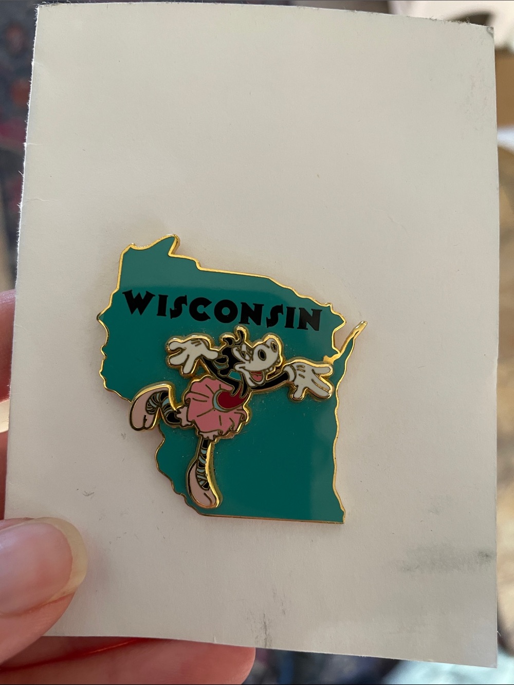 Disney world Wisconsin Pin